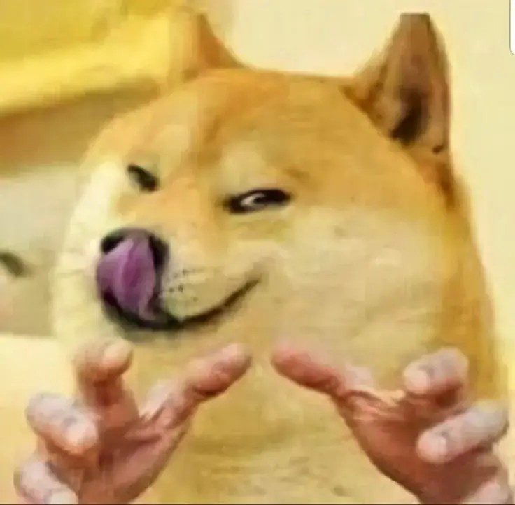 Meme chó cười đểu, nụ cười khinh khỉnh