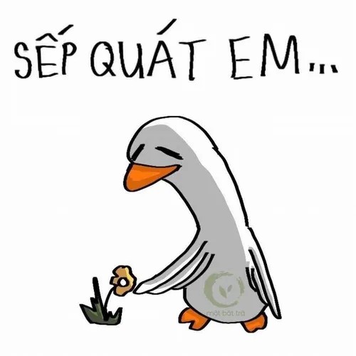 Meme chế vịt ngáo ngơ gây sốt Facebook.