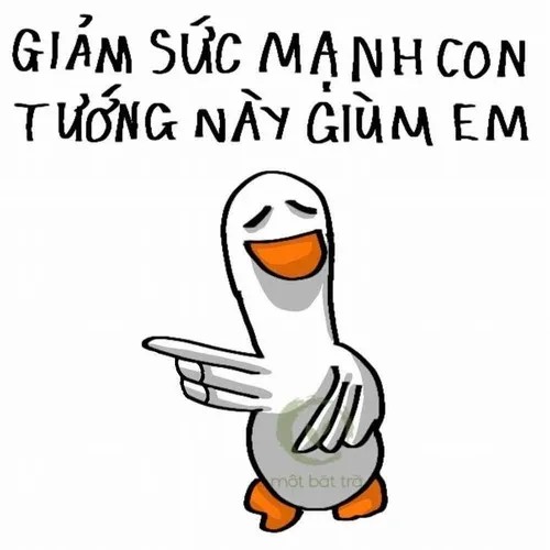 Ảnh hài vịt remix khiến dân TikTok nghiện.