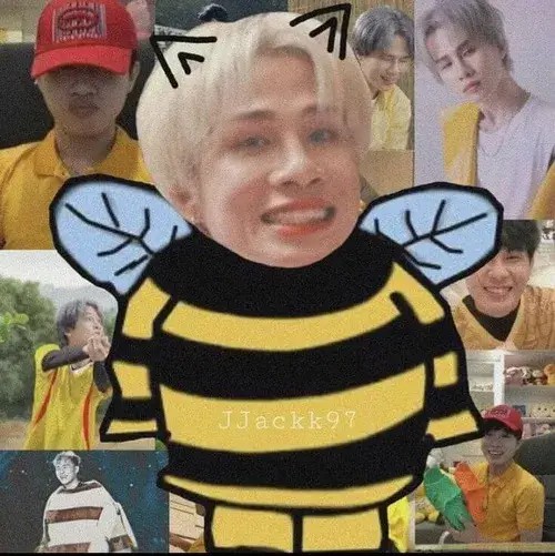 Bộ ảnh meme Đom Đóm: Khi âm nhạc, fandom và hài hước hòa làm một