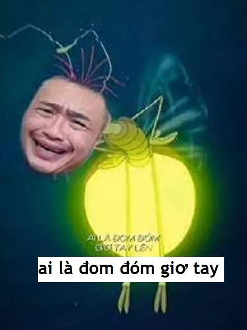 Meme Đom Đóm cực hot: Khi “mấy bà” lên tiếng, cả mạng xã hội dậy sóng