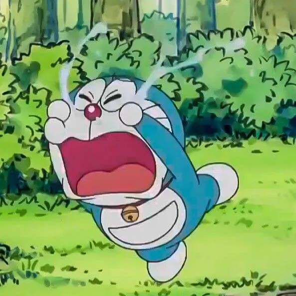 Hình troll mèo máy gương mặt tỉnh bơ