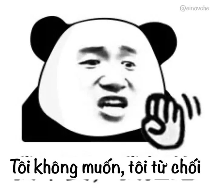 Gấu trúc hài hước:từ chối