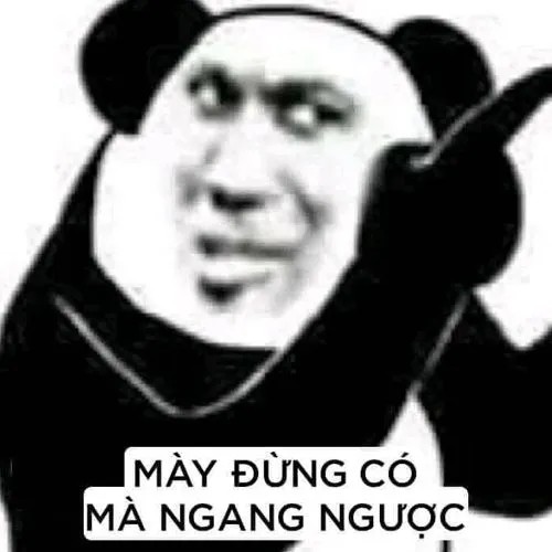 Meme gấu trúc mày đừng có mà ngang ngược