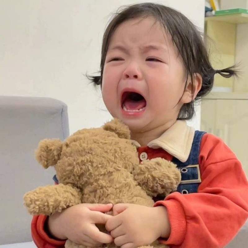 Ảnh meme khóc gục ngã