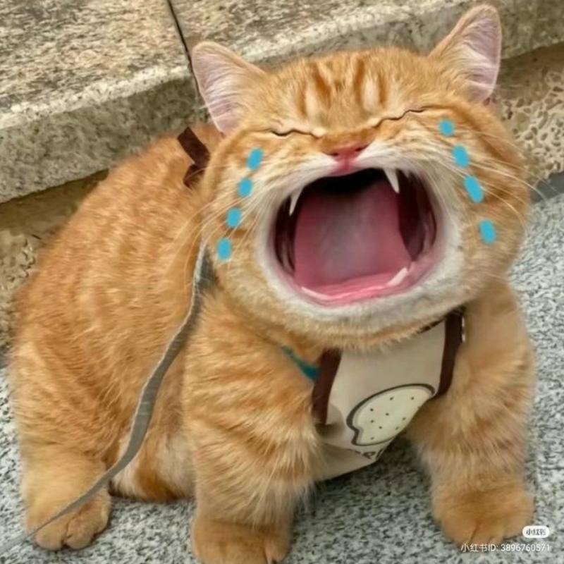 Ảnh meme khóc gượng cười