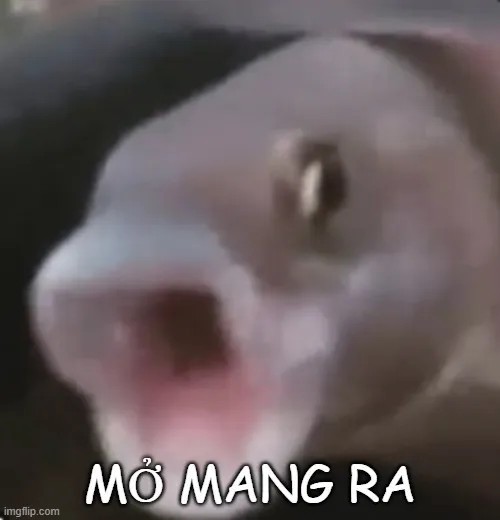 Meme hài khi não bạn vừa khởi động lại
