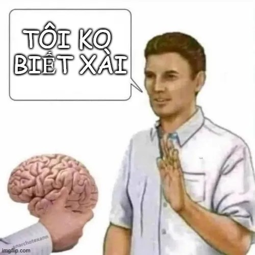 Meme ngu não, logic bay xa nghìn cây số.