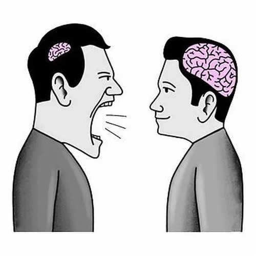Meme không não cá vàng, nhớ 5 giây rồi quên.