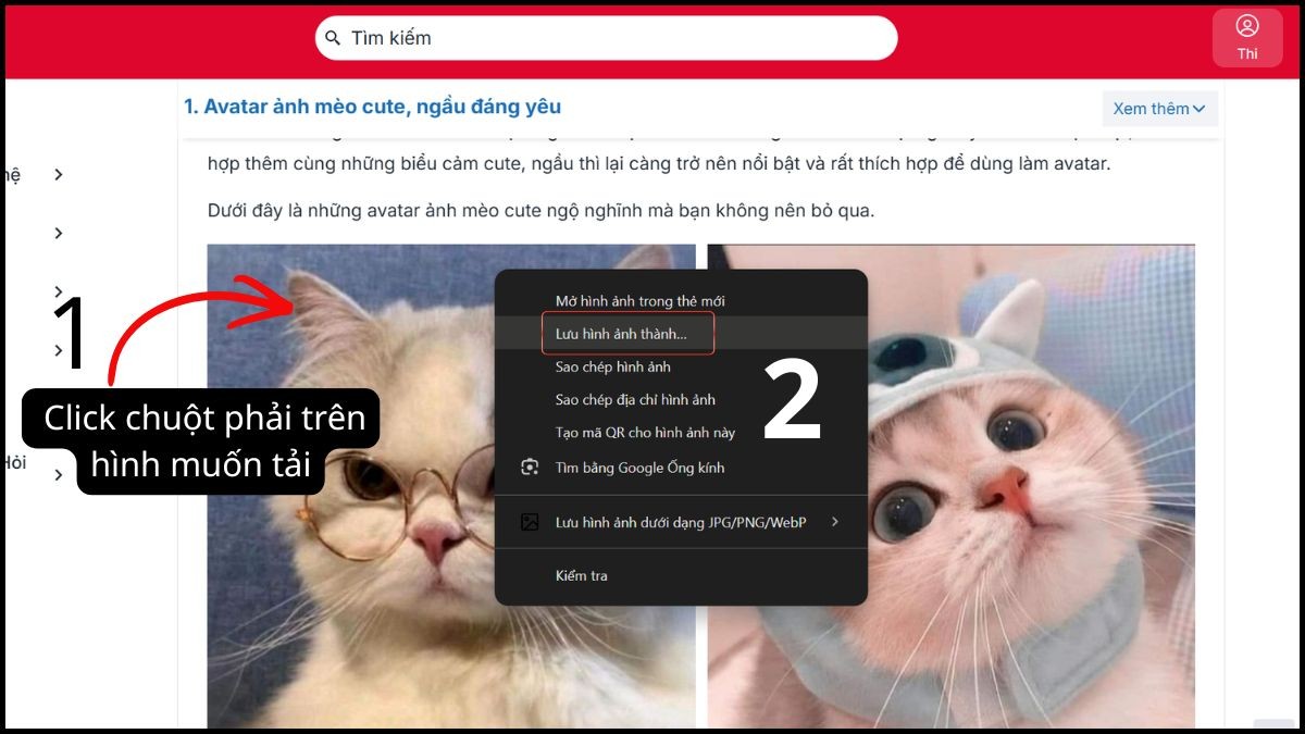 Cách tải meme ngại chất lượng miễn phí trên máy tính - bước 1,2