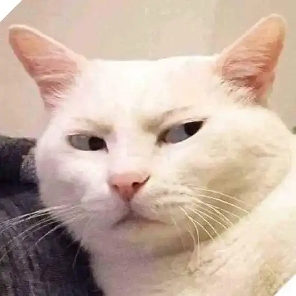 Hình chế meme vui ánh mắt nghi hoặc kiểu “ờ, thiệt hông?”