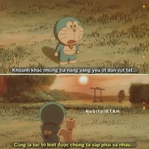 Meme thất tình, vibe cô đơn tràn màn hình