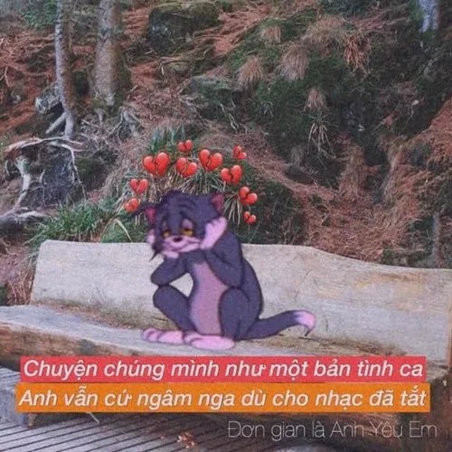 Meme thất tình cho giới trẻ: Biểu đạt nỗi đau một cách dí dỏm