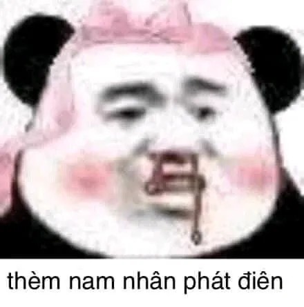 Meme gấu trúc thèm nam nhân phát điên