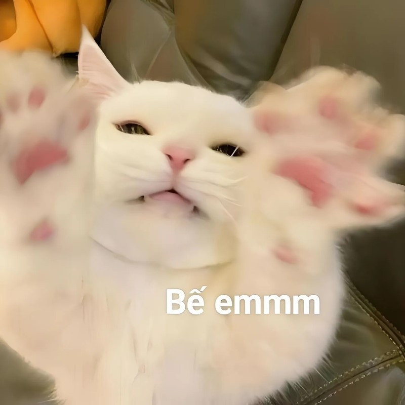 Meme về tình yêu