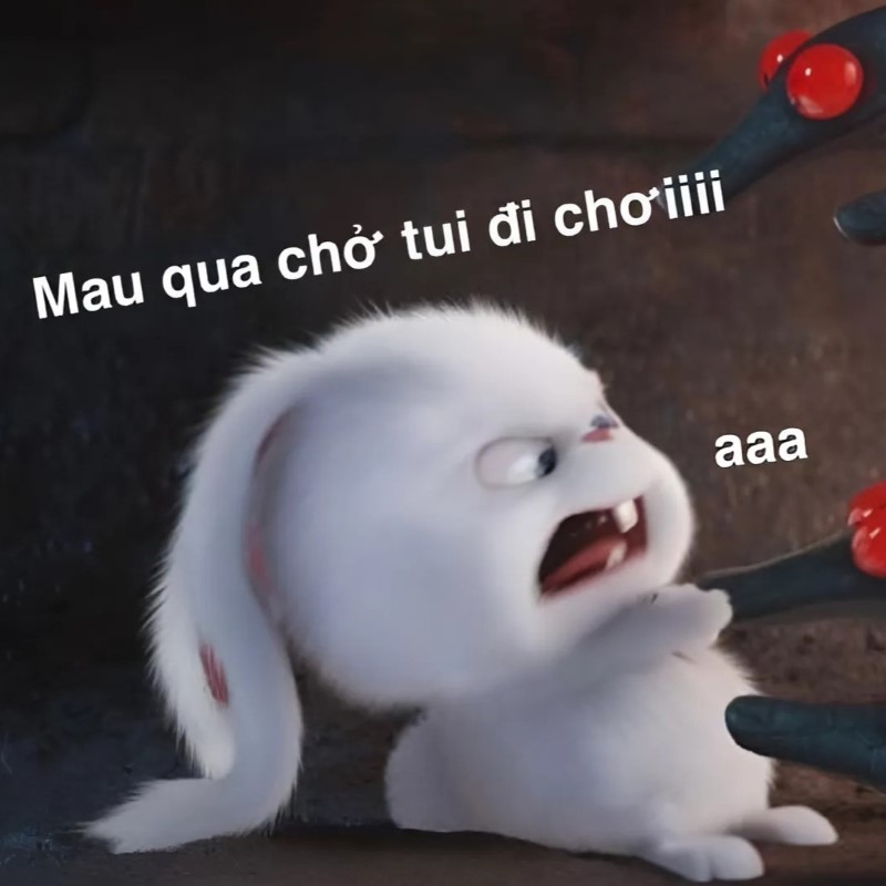 Ảnh meme tình yêu cute