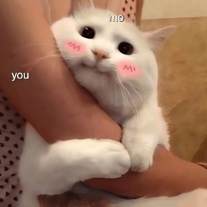 Ảnh mèo nhõng nhẽo