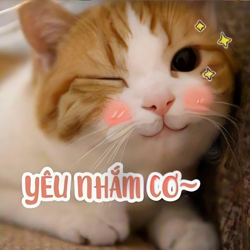 Yêu lắm cơ!