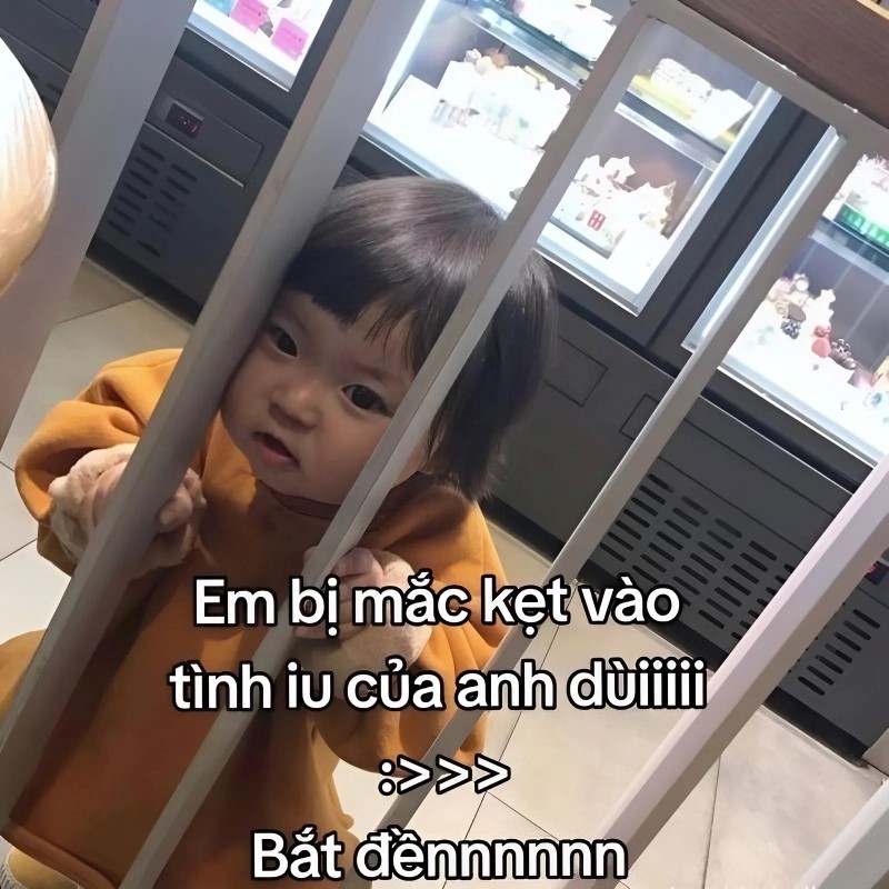Mắc kẹt bởi mấy ảnh meme này