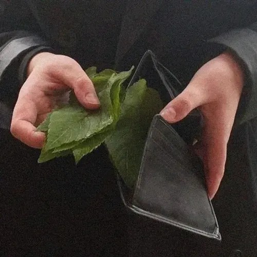Meme ví rỗng dễ thương