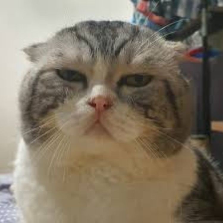 Meme "Đau ở đây này" với nhiều biểu cảm