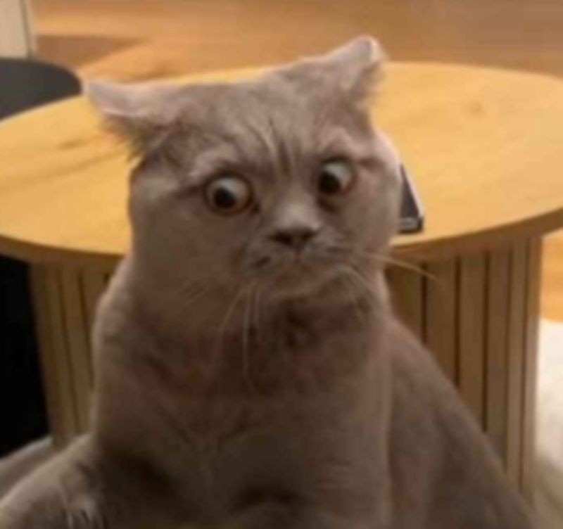 Trọn Bộ 100+ Meme Sợ Hãi Vui Nhộn, Hóm Hỉnh 2026
