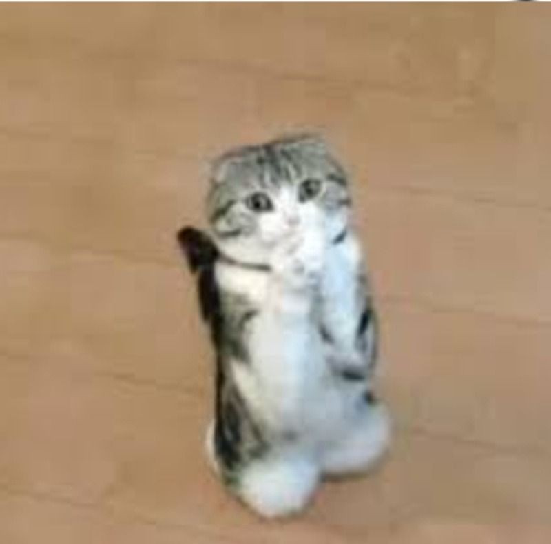 Những tình huống sử dụng meme lạy chuẩn không cần chỉnh