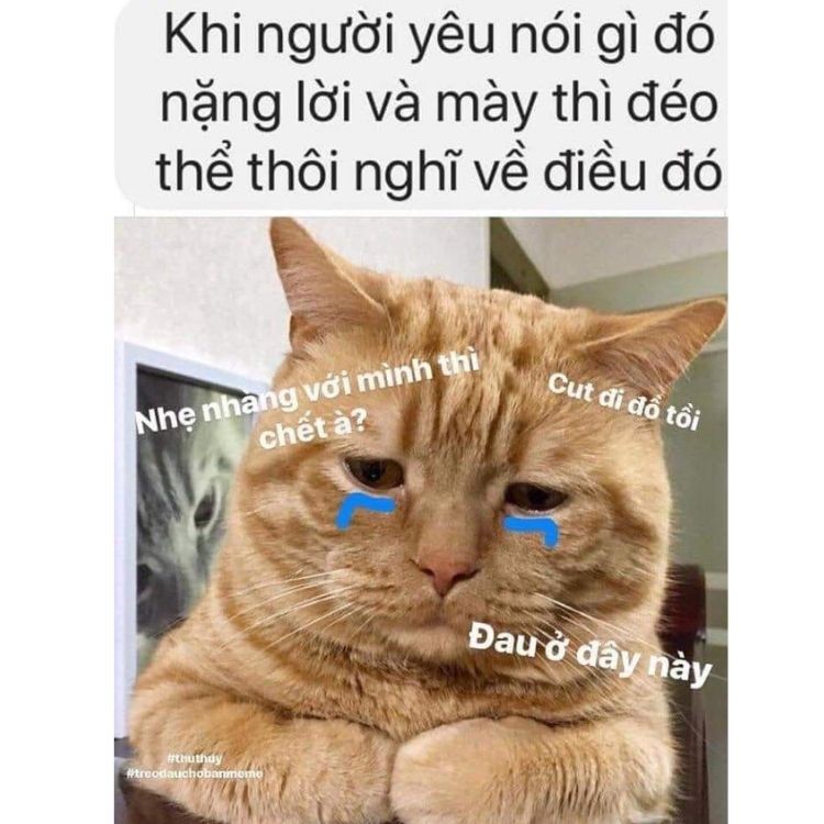 Biểu cảm "muối" của meme "Đau ở đây này"