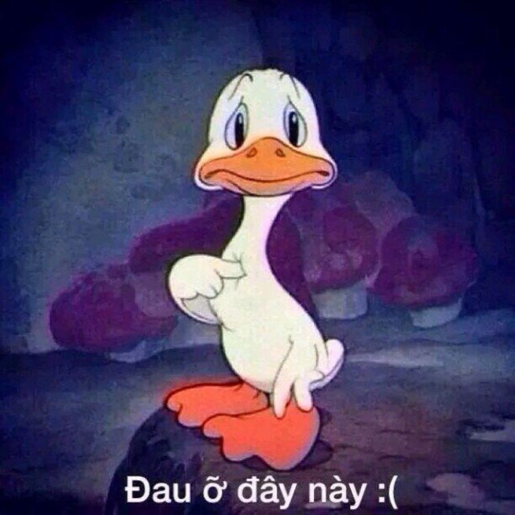 Biểu cảm "đau ở đây nè" đầy cảm xúc