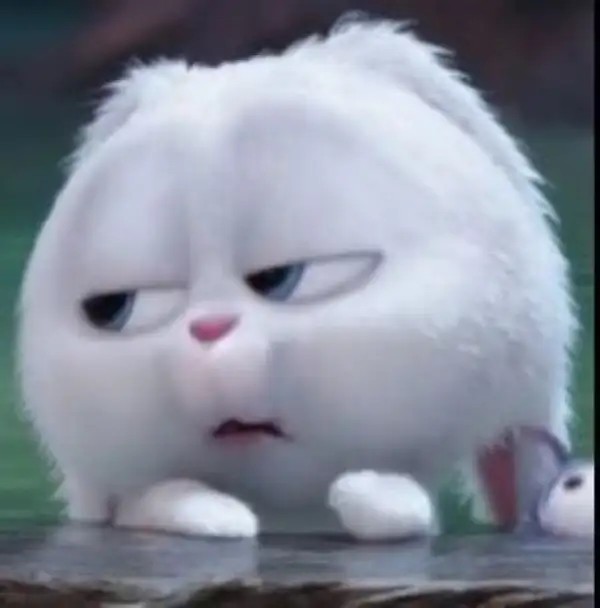 Meme chế uể oải chống cằm nhìn xa xăm