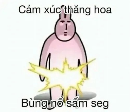 Khi thỏ hồng trở thành biểu tượng “kệ đời” hot nhất châu Á
