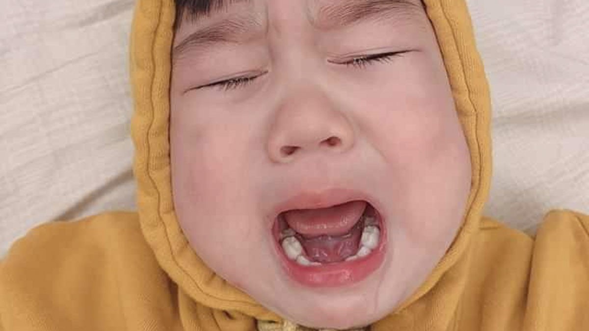 Hình ảnh meme chú gấu buồn ngủ gật