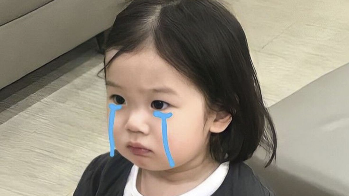 Meme chú chó buồn bã ngồi thu lu