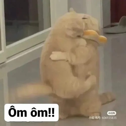 Meme chế baby đáng yêu khiến dân mạng thả tim