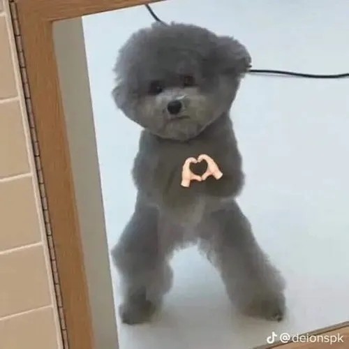 Meme đỉnh kuot để khen lần bạn phát hiện vấn đề trước mọi người.