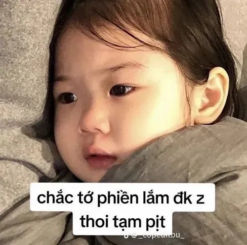 Meme em bé đáng yêu kèm chữ mang vibe mềm lòng cho mọi tình huống trò chuyện vui