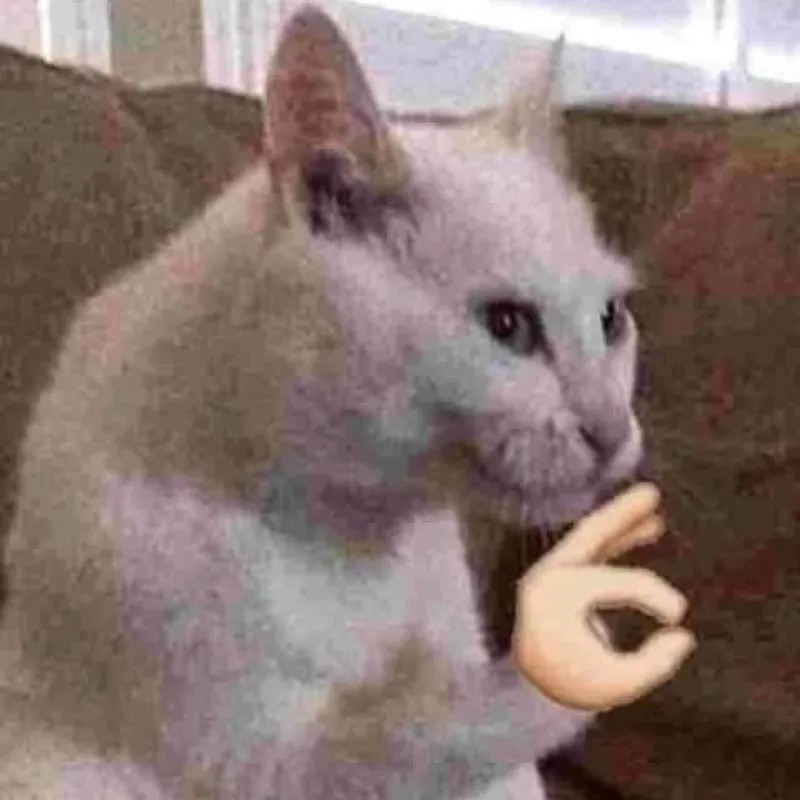 Ảnh meme mèo ok