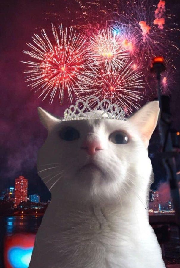 Meme chúc mừng năm mới 1