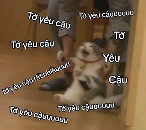 Ảnh hài meme thất bại nhưng khiến dân mạng cười rơi nước mắt