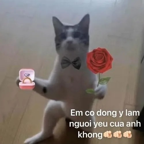 Ảnh meme tỏ tình với khuôn mặt đỏ mặt đáng yêu
