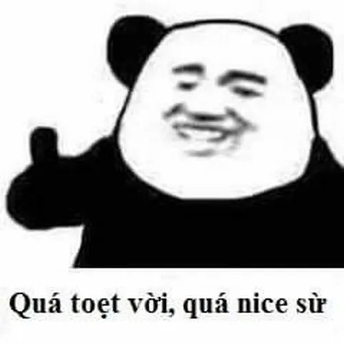 Ảnh troll ca tụng bạn bè học giỏi cực đáng yêu