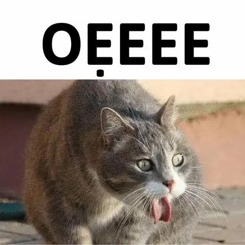 Meme mèo buồn nôn – phản ứng quốc dân mỗi khi gặp cảnh giả trân