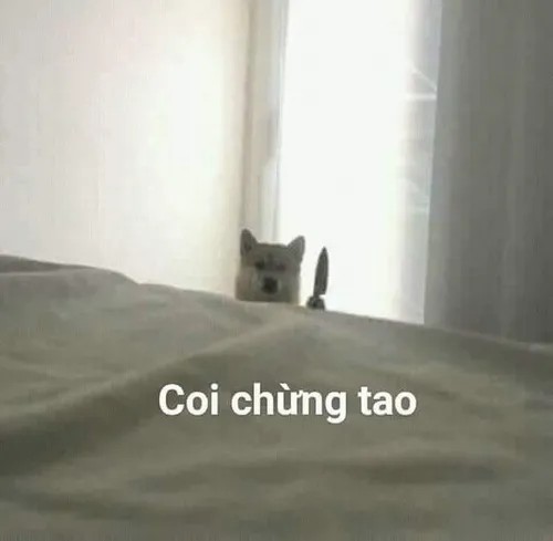 Meme coi chừng tao, biểu cảm bá đạo hết nước chấm.