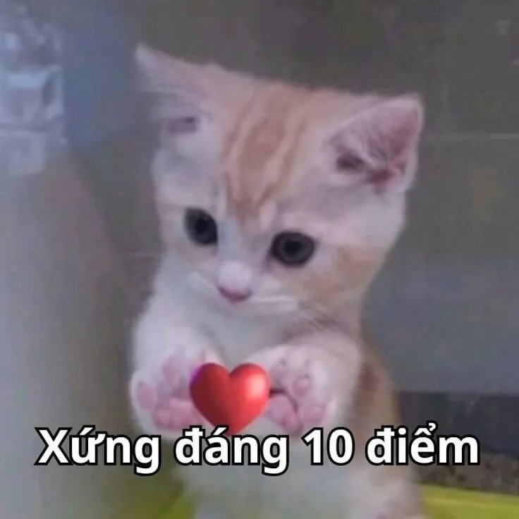 Bạn là nhất, bạn xứng đáng 10 điểm