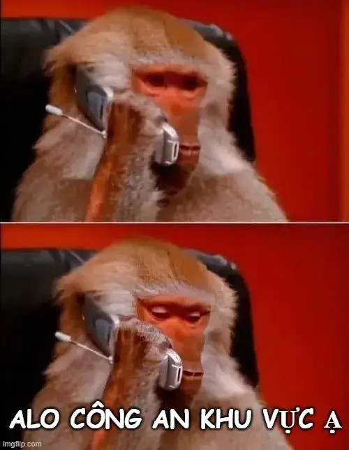 Meme chú khỉ báo công an ngộ nghĩnh khiến ai cũng thích thú