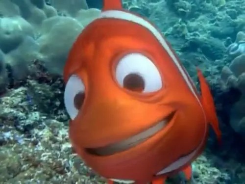 Hình meme hài cá Nemo vén vây nhìn đời đầy nghi ngờ