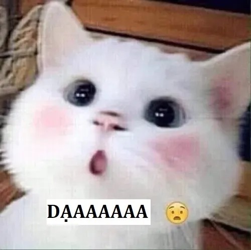 Khi “dạ vâng ạ” trở thành ngôn ngữ riêng của GenZ