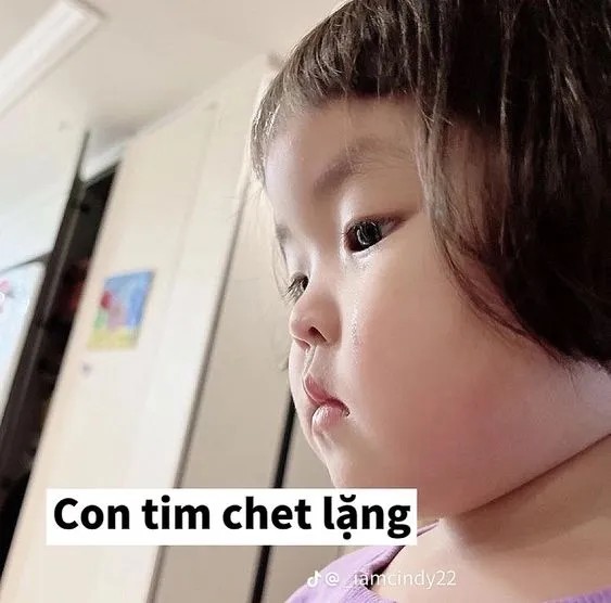 Meme cô bé chết lặng má phính đáng yêu