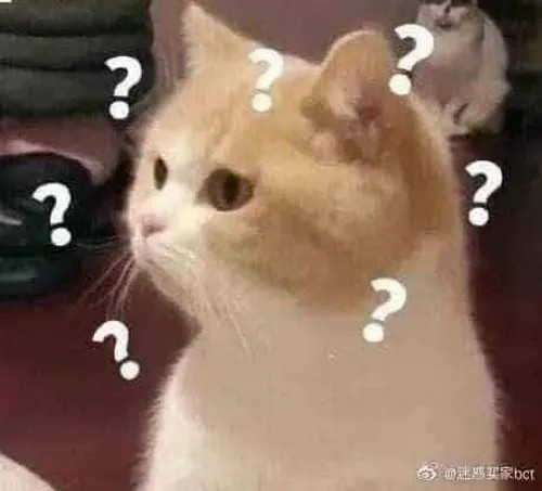 Meme mèo mông lung thể hiện nét mặt người đang cố hiểu vô vọng