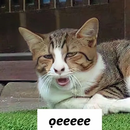 Nhìn loạt meme mèo ói này là biết dân mạng mặn cỡ nào